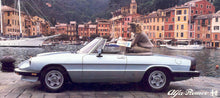 Load image into Gallery viewer, Spider Series 3 Models from 1982 to 1990 (USA)
